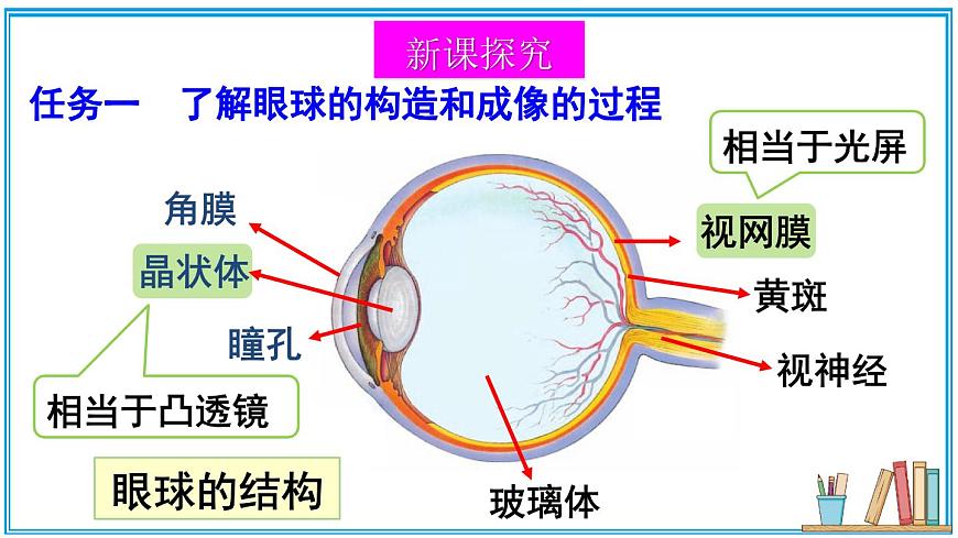 第四節(jié) 愛(ài)眼宣傳公益行第4頁(yè)