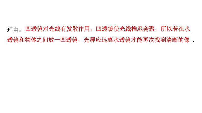 2024宁夏中考物理二轮复习 第3讲 透镜及其应用(课件)08
