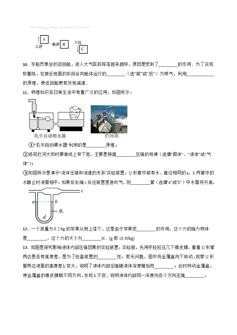 广东省中山市中山一中教育集团2023-2024学年八年级下学期物理期中试题03