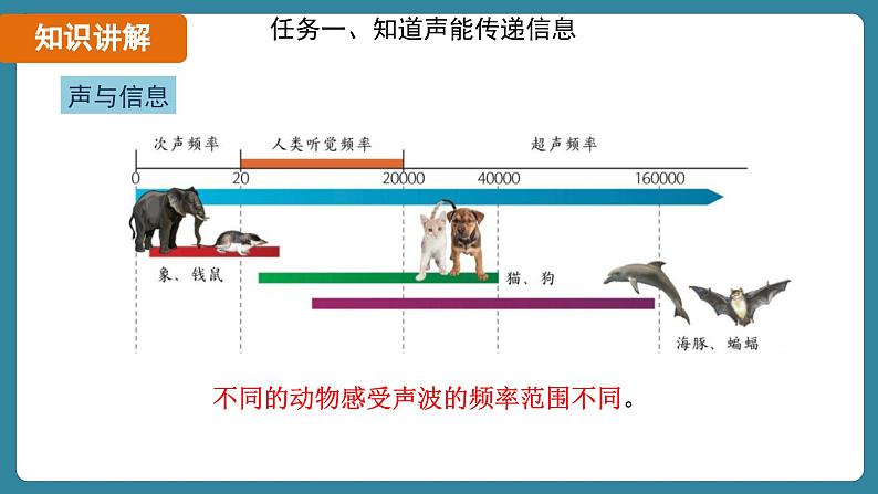 2.3 声的利用(课件)-2024-2025学年人教版(2024)物理八年级上册08
