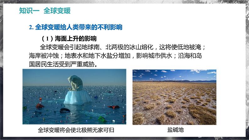 12.5 全球变暖与水资源危机(教学课件)第7页