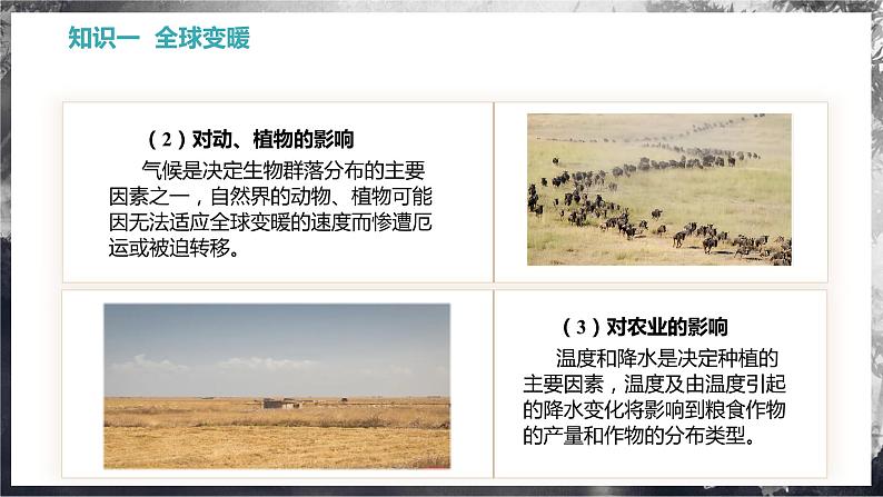 12.5 全球变暖与水资源危机(教学课件)第8页