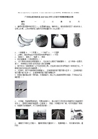 [物理]广东省汕尾市海丰县2023-2024学年九年级下学期物理模拟试卷