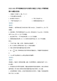 2022-2023学年湖南省长沙市浏阳市城区九年级上学期物理期中试题及答案