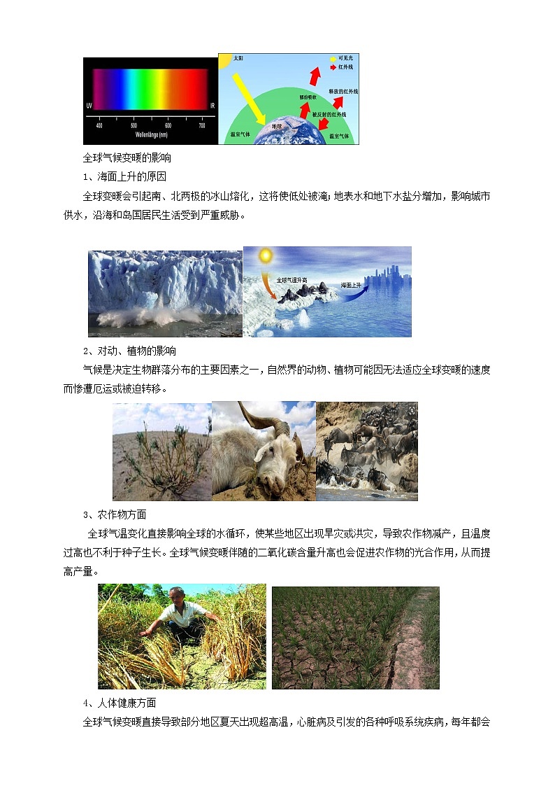 滬科版物理九年級12.5 全球變暖與水資源危機教案第3頁