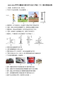 安徽省合肥市庐江县2023-2024学年八年级下学期期末物理试卷