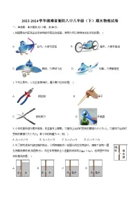 2023-2024学年湖南省衡阳八中八年级（下）期末物理试卷（含答案）