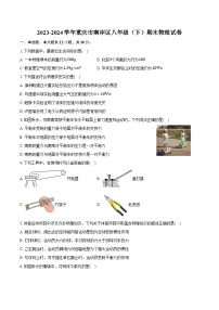 2023-2024学年重庆市南岸区八年级（下）期末物理试卷（含答案）