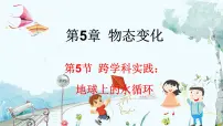 教科版（2024）八年级上册5 跨学科实践：地球上的水循环课前预习ppt课件