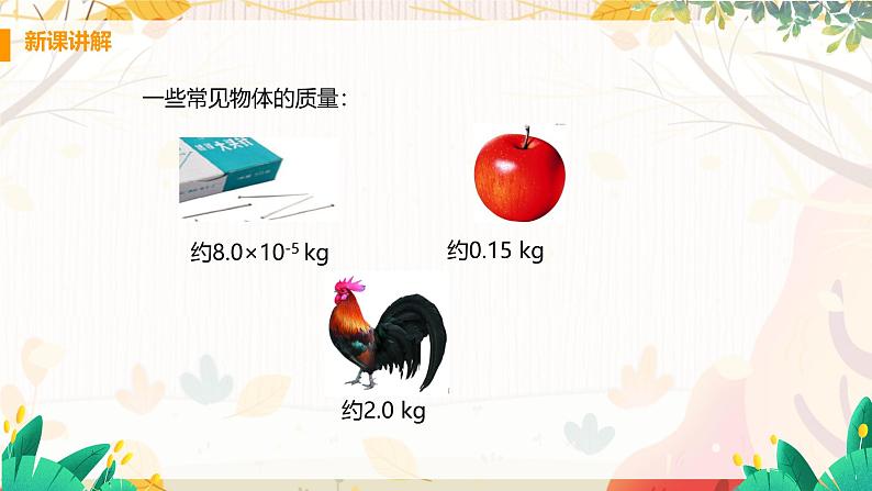 【粤沪2024版】八上物理 第5章 5.1 物体的质量 PPT课件+教案+练习07