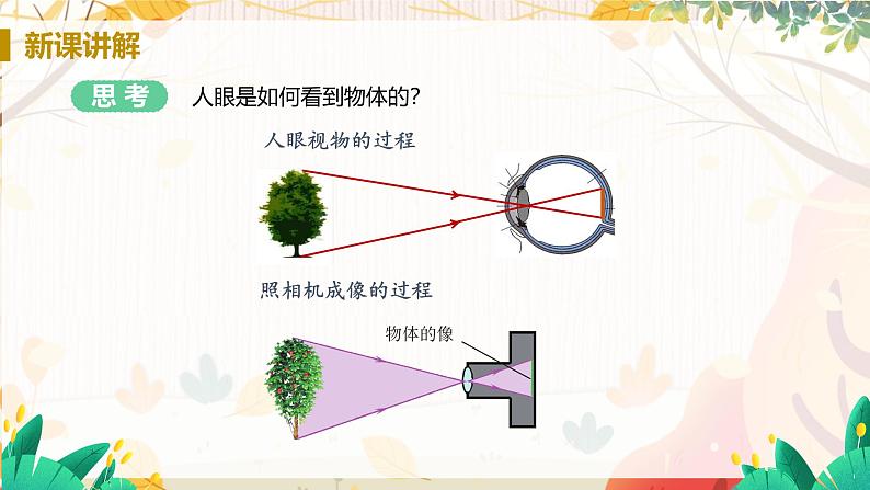 【人教2024版】八上物理 第5章 第4节 眼睛和眼镜 PPT课件+教案+练习06