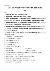 广东省河源地区2023-2024学年八年级下学期期末考试物理试题（原卷版+解析版）