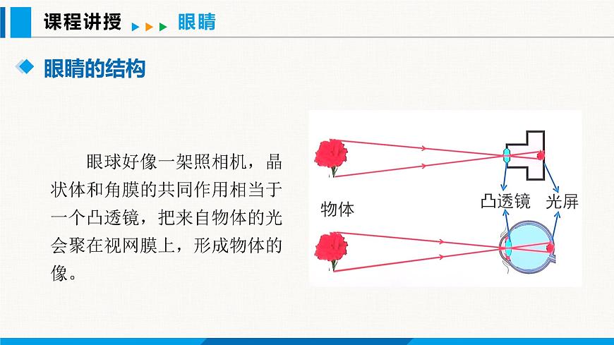 人教版（2024）八年級(jí)物理上冊(cè)課件 5.4 眼睛和眼鏡第6頁