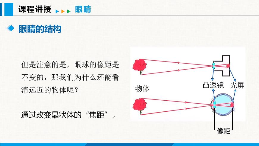 人教版（2024）八年級(jí)物理上冊(cè)課件 5.4 眼睛和眼鏡第7頁