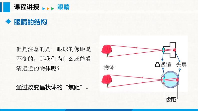 人教版(2024)八年级物理上册课件 5.4 眼睛和眼镜07