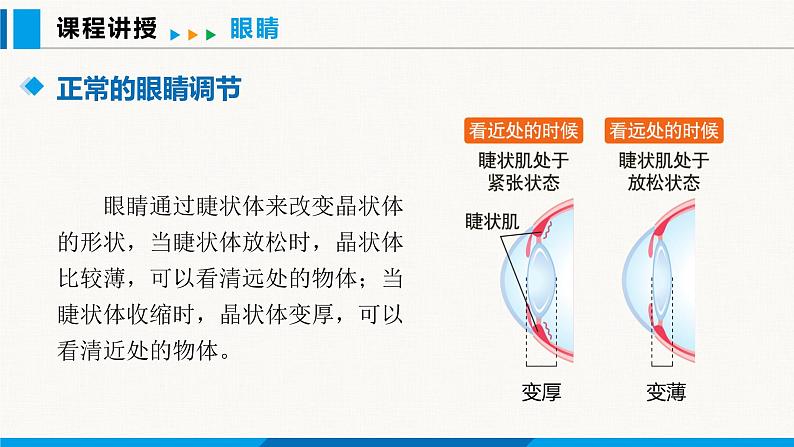 人教版(2024)八年级物理上册课件 5.4 眼睛和眼镜08
