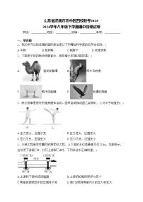 山东省济南市市中区四校联考2023-2024学年八年级下学期期中物理试卷(含答案)