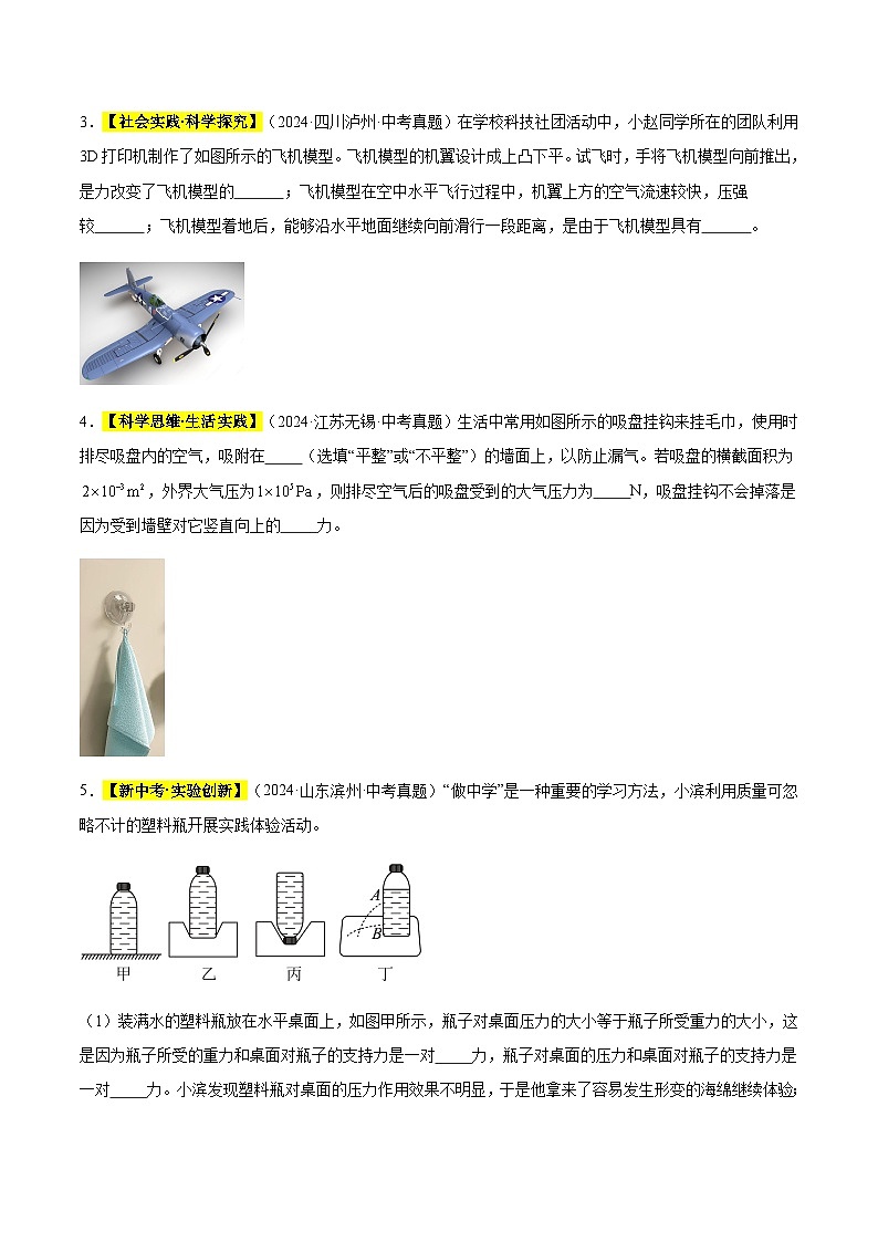 三年(2022-2024)中考物理真题分类汇编(全国通用)专题10 压力和压强(原卷版)第2页