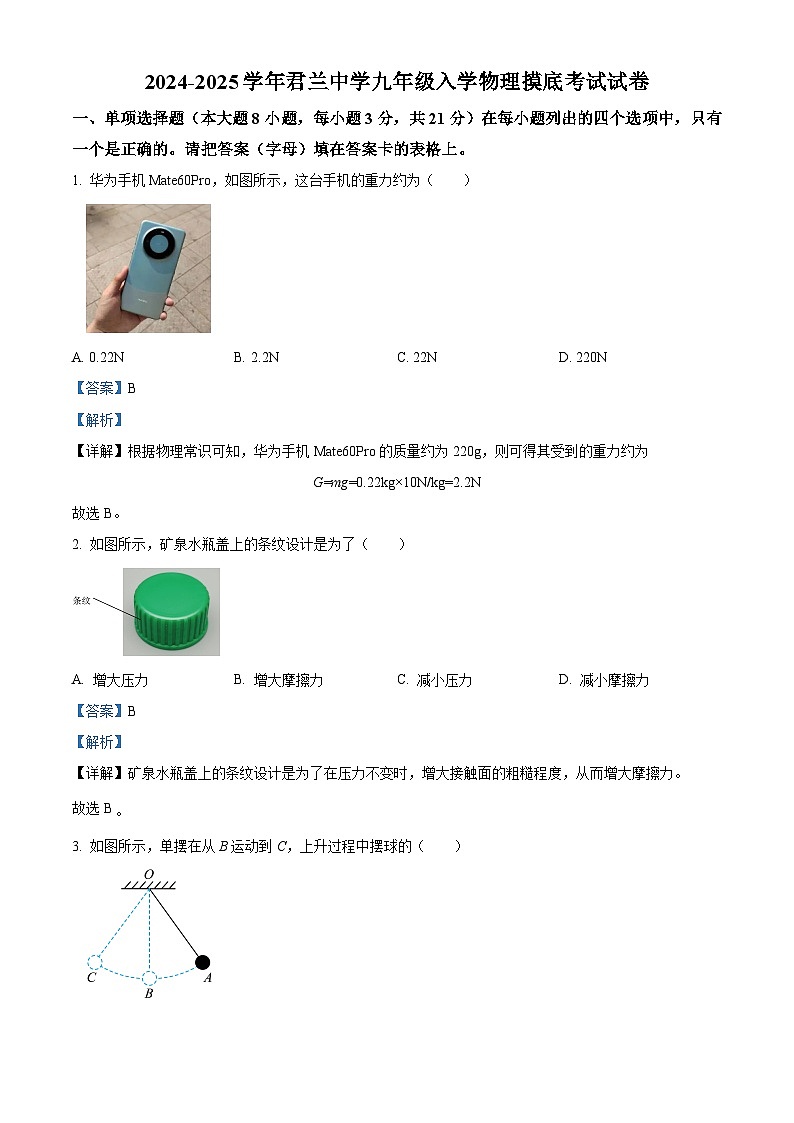 广东省佛山市君兰中学2024-2025学年九年级上学期入学摸底考试物理试题(解析版)第1页