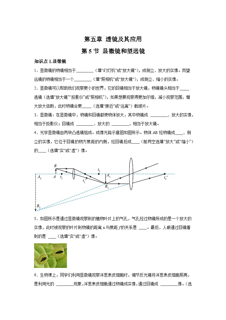 随堂练习课课练八年级物理试题(人教版)第五章透镜及其应用第五节显微镜和望远镜含解析答案01