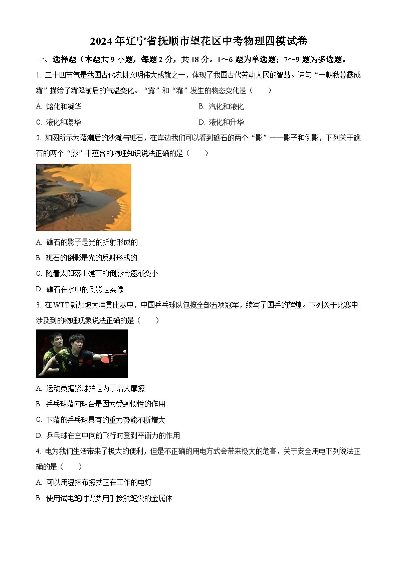 2024年辽宁省抚顺市望花区中考物理四模试卷(原卷版+解析版)01