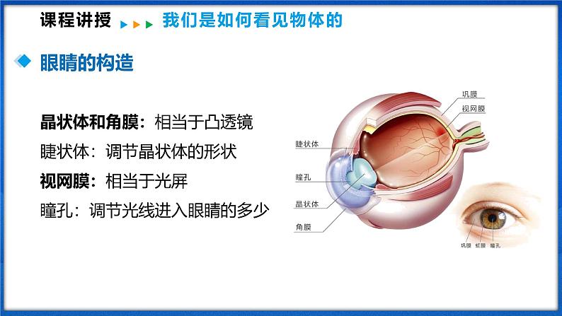 4.3 神奇的眼睛(课件)- 2024-2025学年物理沪科版八年级全一册第5页