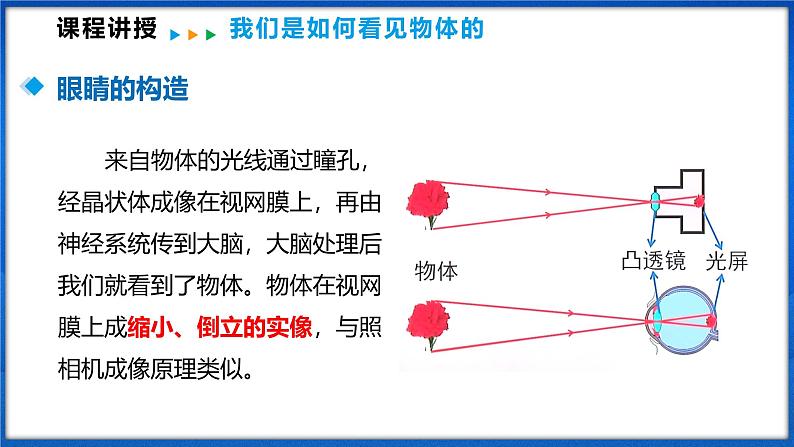 4.3 神奇的眼睛(课件)- 2024-2025学年物理沪科版八年级全一册第6页