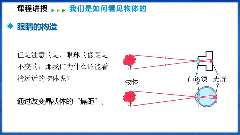 4.3 神奇的眼睛(课件)- 2024-2025学年物理沪科版八年级全一册第7页