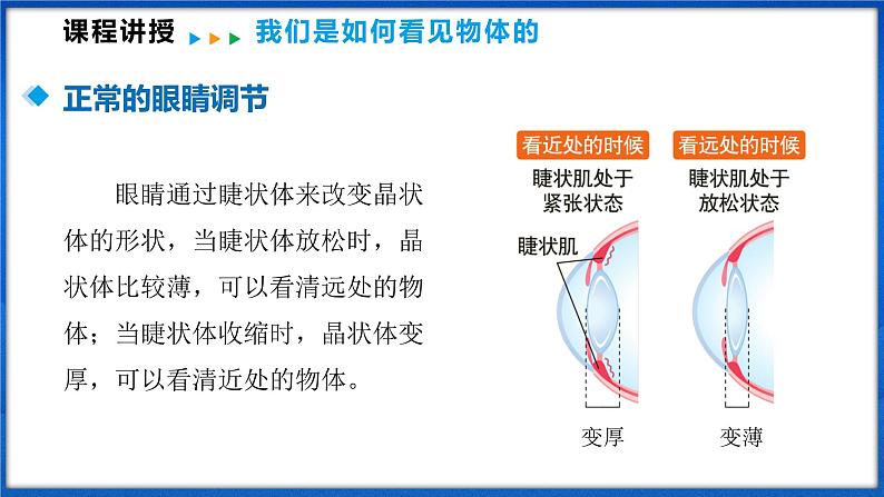 4.3 神奇的眼睛(课件)- 2024-2025学年物理沪科版八年级全一册第8页