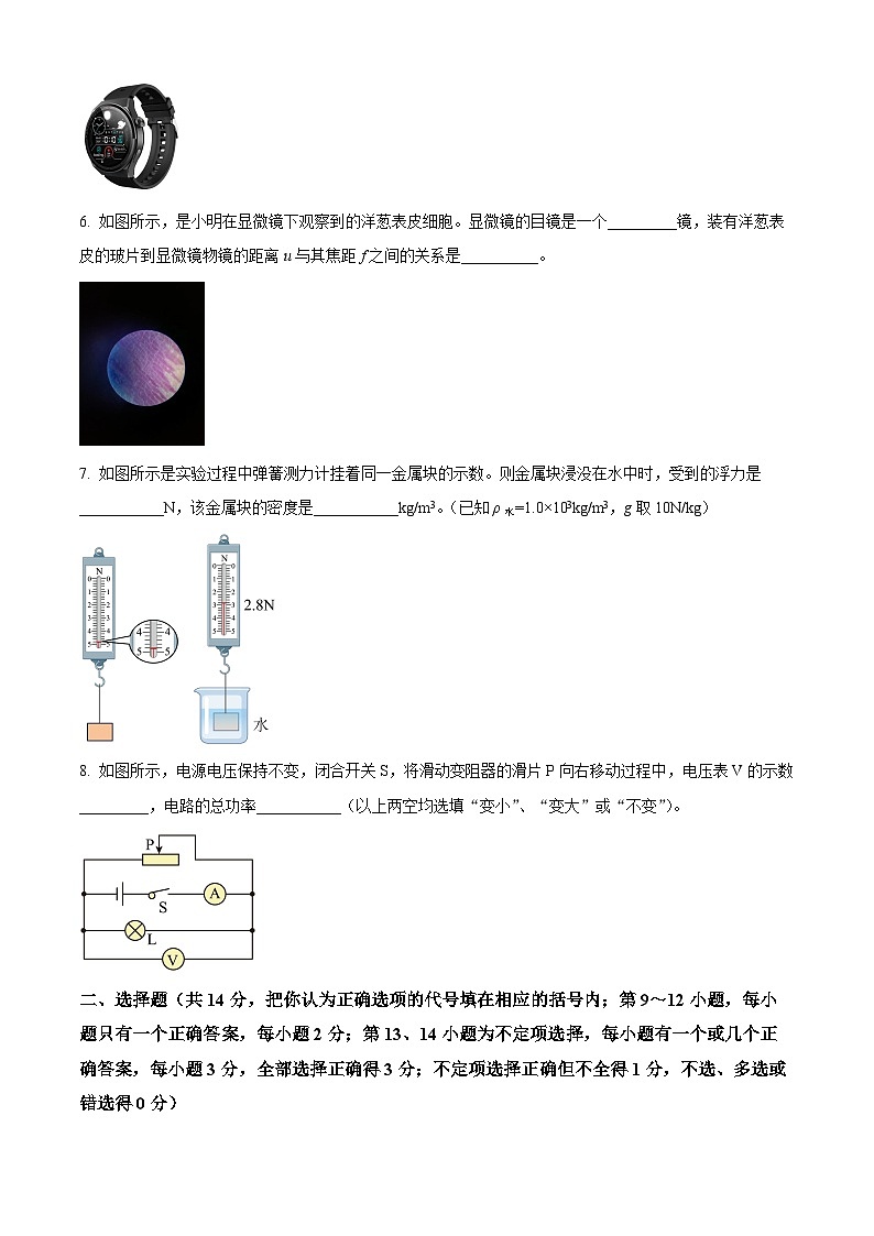 2024年江西省鷹潭市貴溪市中考一模物理試題（原卷版）第2頁