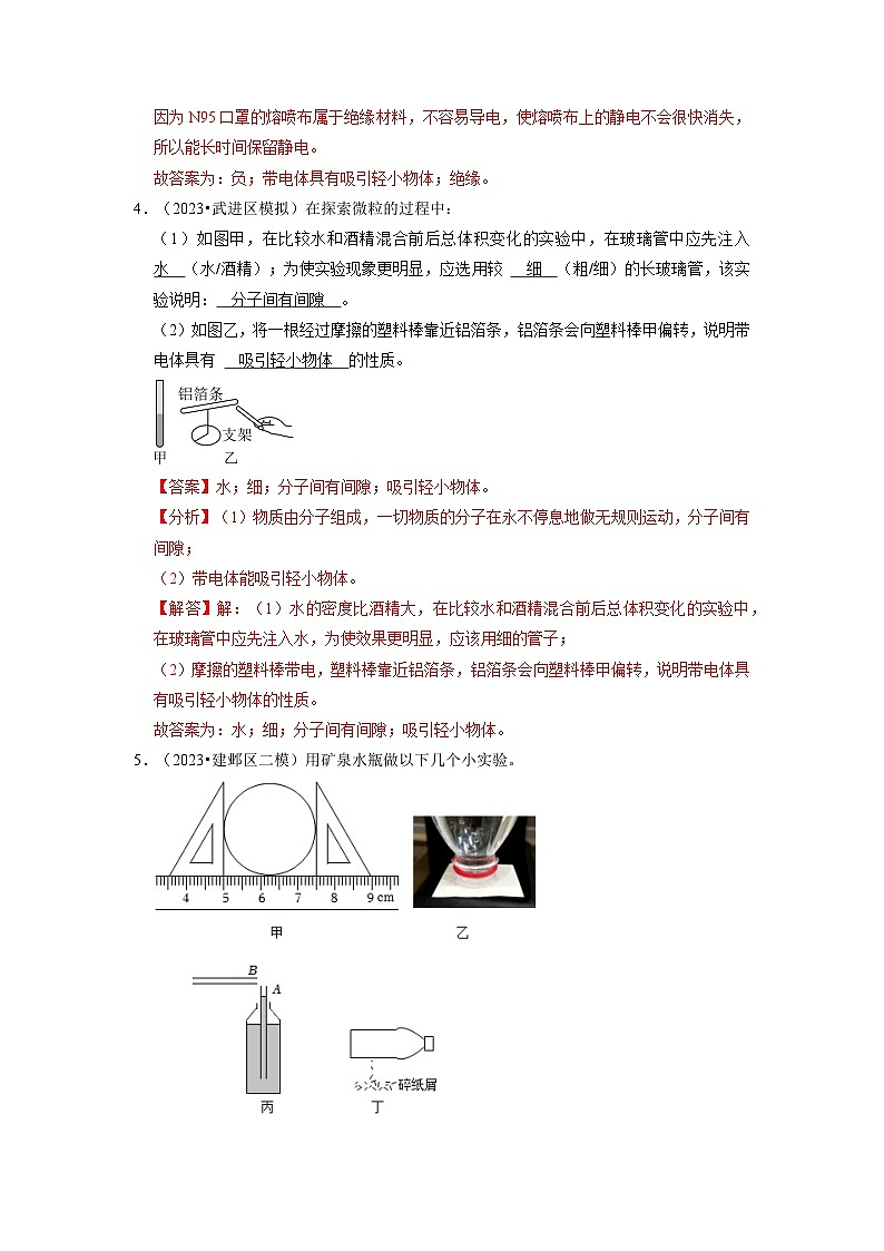 15.1 两种电荷(专题训练)【十大题型】-2024年九年级物理人教版(全册)讲义(含练习)03