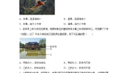 北师大版（2024）八年级上册三 学生实验：探究——平面镜成像的特点优秀测试题