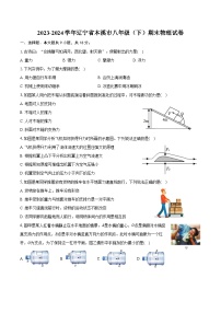 2023-2024学年辽宁省本溪市八年级(下)期末物理试卷(含答案)