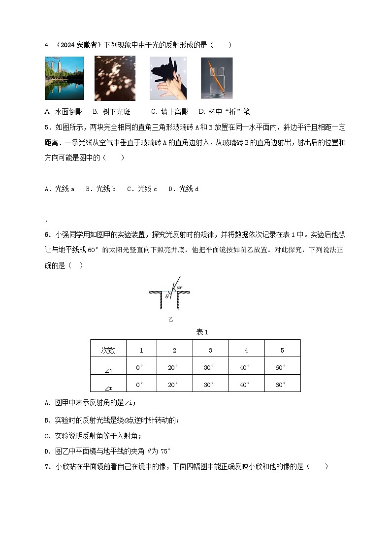 人教版(2024)初中物理新教材八年级上册专题4.6 《光现象》单元达标检测试卷(原卷版+解析版)02
