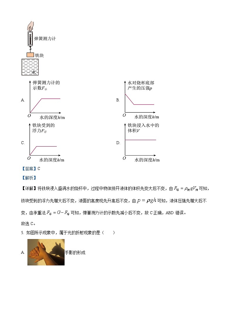 2024年广东省清远市阳山县中考一模物理试题(解析版)03