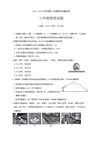 山东省泰安市宁阳县2023-2024学年八年级下学期期末考试物理试题