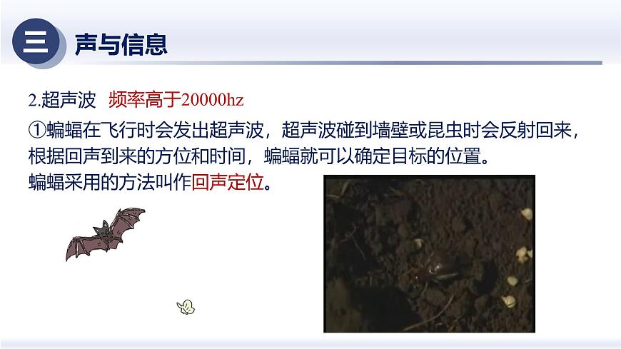 2.3聲的利用（課件） 八年級(jí)物理上冊(cè)同步（人教版2024）第7頁(yè)