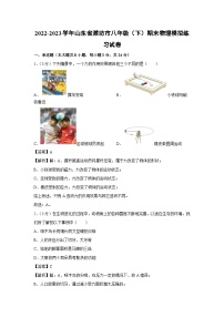 [物理][期末]山东省潍坊市2022-2023学年八年级下学期期末模拟练习试卷