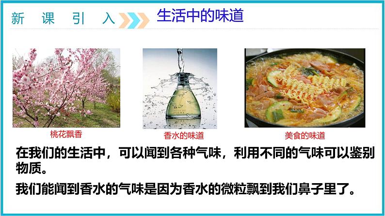 13.1分子热运动 课件 2024-2025学年学年人教版九年级全一册物理04