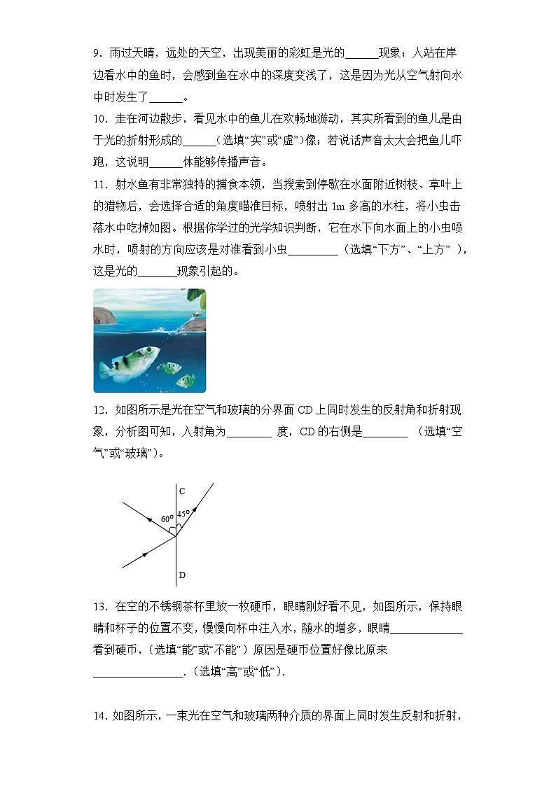 中考物理一轮复习讲练测(全国通用)第04讲光现象(模拟检测)(原卷版+解析)03