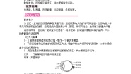 初中物理北师大版（2024）八年级上册（2024）第四节 爱眼宣传公益行教学设计