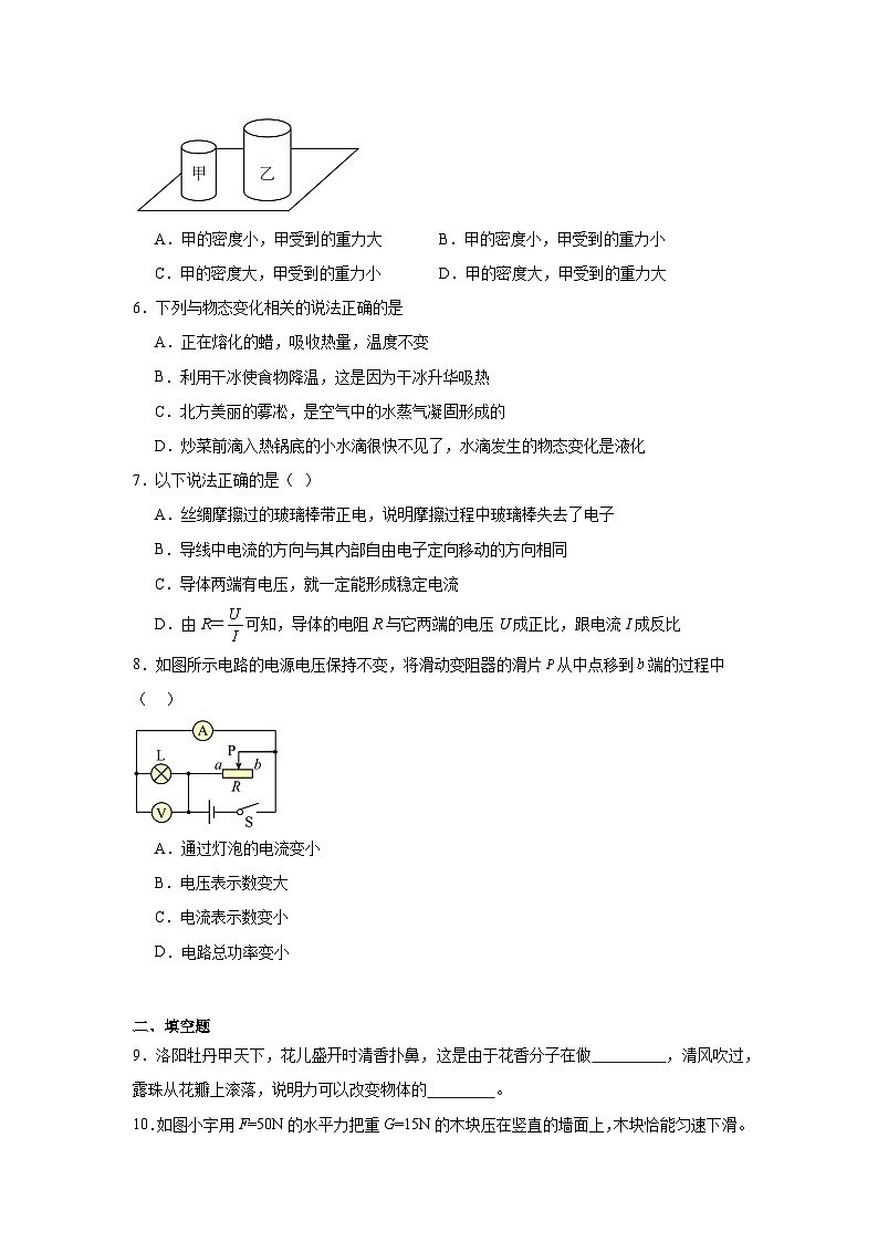 2024年西藏自治区日喀则市岗巴县中考一模物理试题02