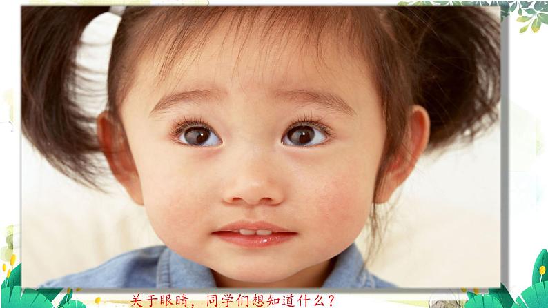沪粤版(2024)八年级物理上册 第3章 3.7 眼睛与光学仪器 PPT课件第2页