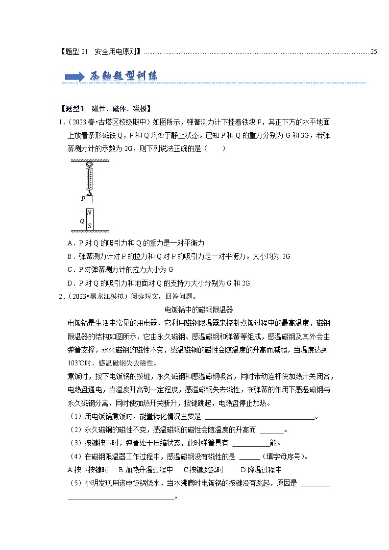 专题08 《生活用电及电与磁》压轴培优题型训练【二十一大题型】-九年级全一册物理《压轴挑战》培优专题训练(人教版)试卷02