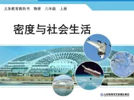 6.4密度的应用课件2024-2025学年人教版物理八年级上册