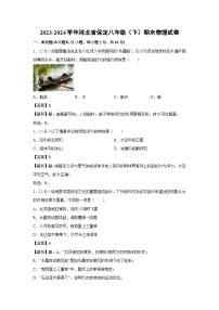 [物理][期末]河北省保定2023-2024学年八年级下学期期末试卷