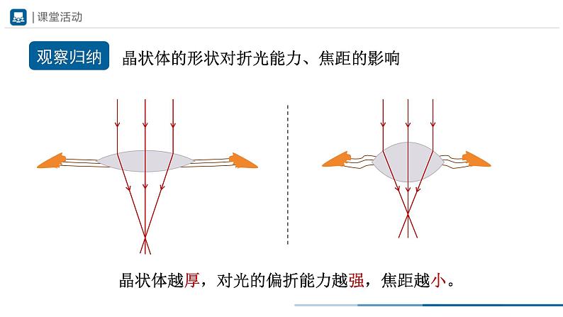 人教版八年级物理上册精品课堂5.4 眼睛和眼镜(教学课件)第7页