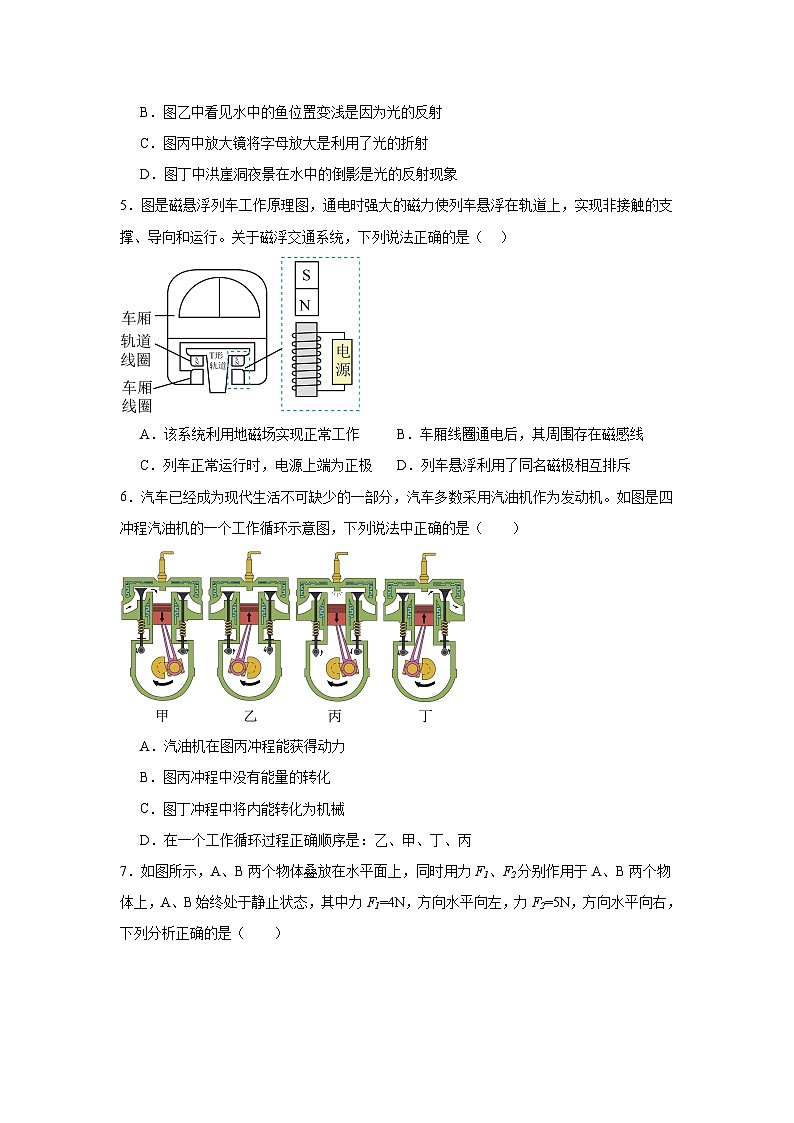 2024年广东省东莞市丰泰中学中考三模物理试题 (1)第2页