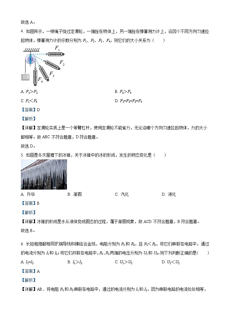2024年四川省内江市中考物理真题(解析版)第2页