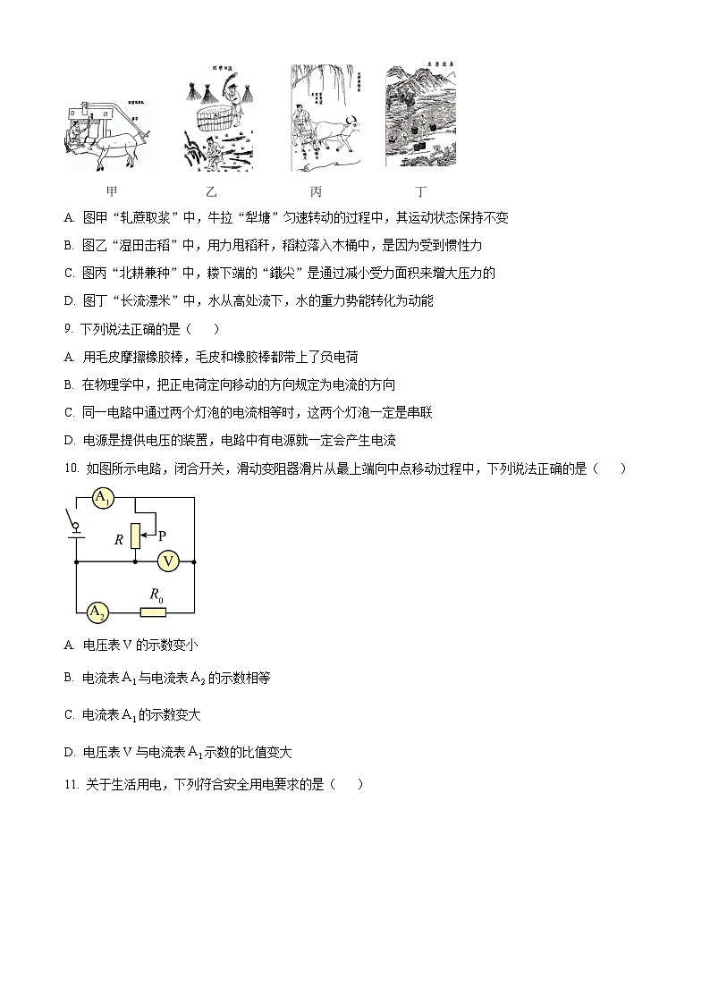 2024年山东省滨州市中考物理真题(原卷版)第3页